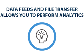 light bulb inside a person's head icon representing Data feeds and File Transfer allows you to perform analytics