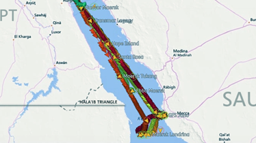 A digital map showing the Suez Canal with a dense overlay of colorful, dragon-like images of ships, including names like "Gunvor Maersk" and "Maersk Tukang," clustered along the canal route on a background of the surrounding geographic area labeled with places like Luxor, Medina, and the Halai'b Triangle.