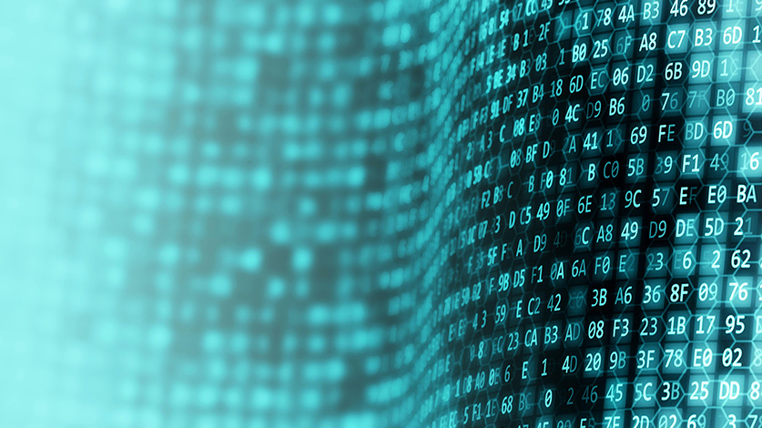 data wave