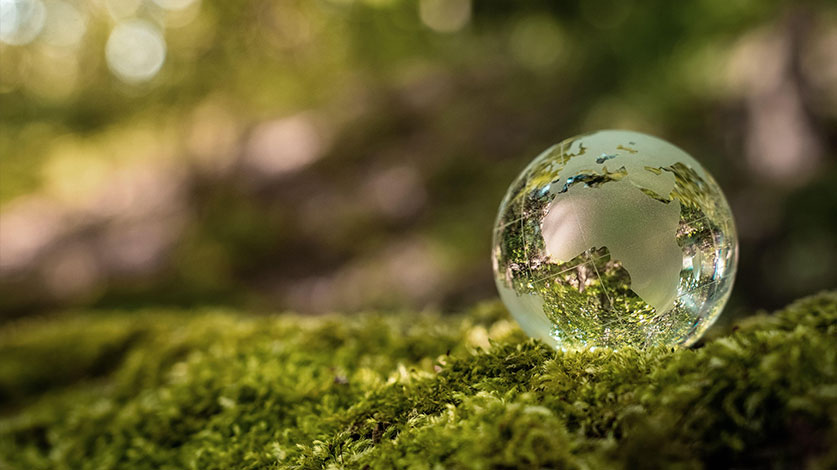 green grass with globe